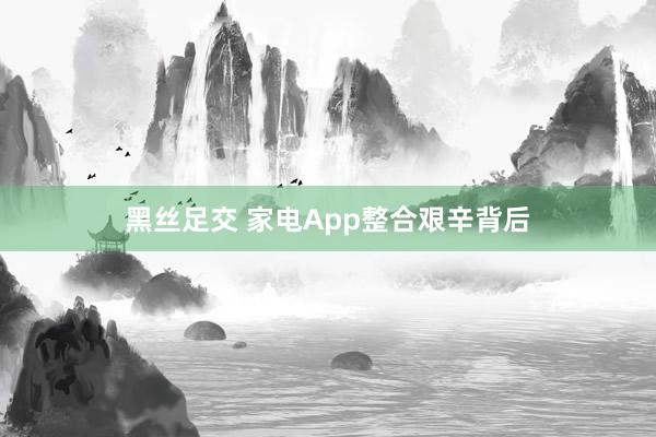 黑丝足交 家电App整合艰辛背后