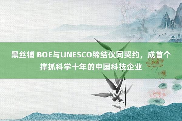 黑丝铺 BOE与UNESCO缔结伙同契约，成首个撑抓科学十年的中国科技企业