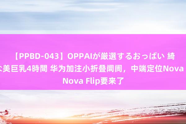 【PPBD-043】OPPAIが厳選するおっぱい 綺麗で敏感な美巨乳4時間 华为加注小折叠阛阓，中端定位Nova Flip要来了