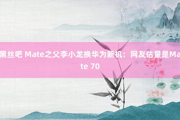 黑丝吧 Mate之父李小龙换华为新机：网友估量是Mate 70