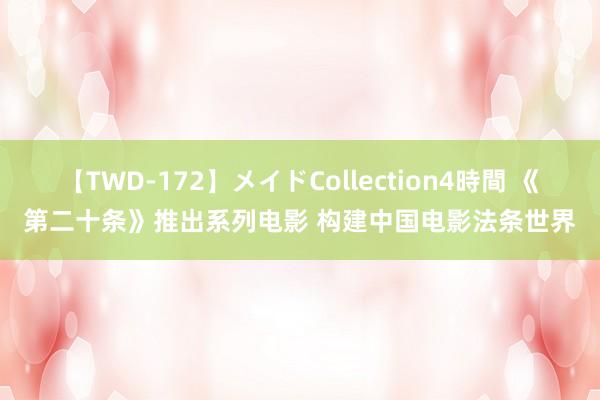 【TWD-172】メイドCollection4時間 《第二十条》推出系列电影 构建中国电影法条世界