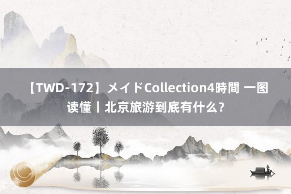 【TWD-172】メイドCollection4時間 一图读懂丨北京旅游到底有什么？