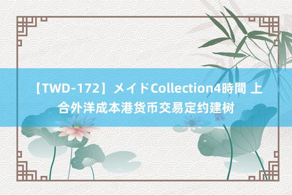 【TWD-172】メイドCollection4時間 上合外洋成本港货币交易定约建树