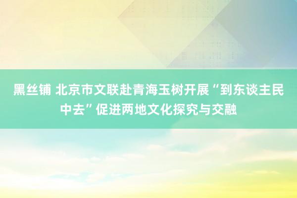 黑丝铺 北京市文联赴青海玉树开展“到东谈主民中去”促进两地文化探究与交融