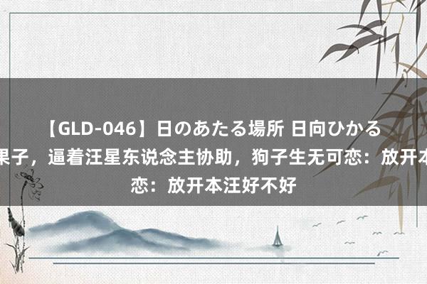 【GLD-046】日のあたる場所 日向ひかる 铲屎官偷果子，逼着汪星东说念主协助，狗子生无可恋：放开本汪好不好