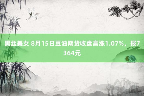 黑丝美女 8月15日豆油期货收盘高涨1.07%，报7364元