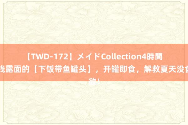 【TWD-172】メイドCollection4時間 5块钱露面的【下饭带鱼罐头】，开罐即食，解救夏天没食欲！