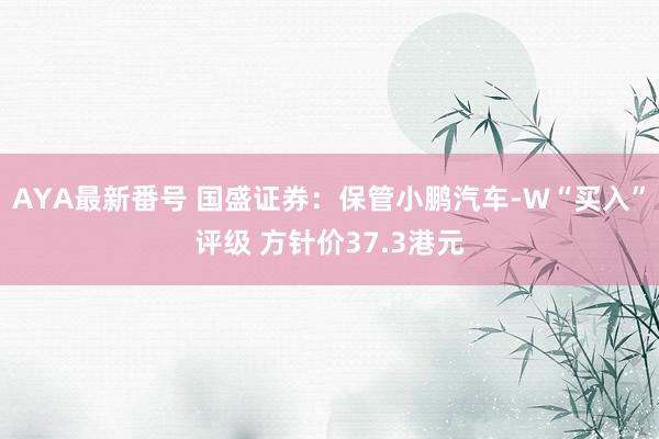 AYA最新番号 国盛证券：保管小鹏汽车-W“买入”评级 方针价37.3港元