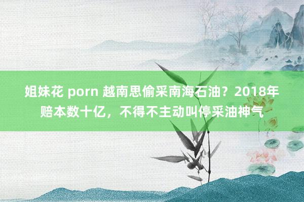 姐妹花 porn 越南思偷采南海石油？2018年赔本数十亿，不得不主动叫停采油神气