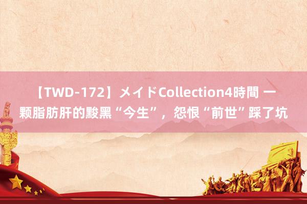 【TWD-172】メイドCollection4時間 一颗脂肪肝的黢黑“今生”，怨恨“前世”踩了坑