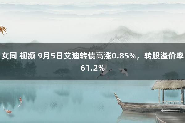 女同 视频 9月5日艾迪转债高涨0.85%，转股溢价率61.2%