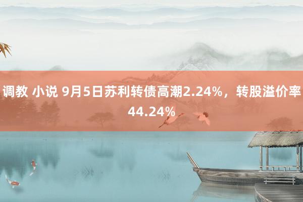 调教 小说 9月5日苏利转债高潮2.24%，转股溢价率44.24%