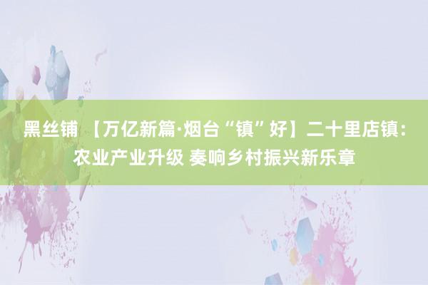 黑丝铺 【万亿新篇·烟台“镇”好】二十里店镇：农业产业升级 奏响乡村振兴新乐章