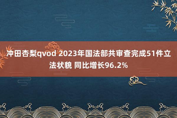 冲田杏梨qvod 2023年国法部共审查完成51件立法状貌 同比增长96.2%