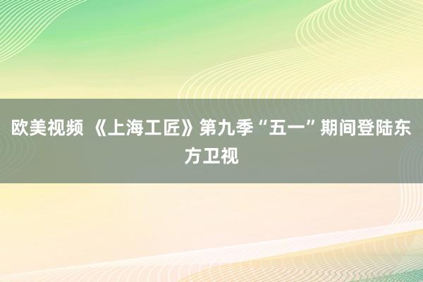 欧美视频 《上海工匠》第九季“五一”期间登陆东方卫视